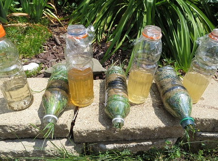 活性炭野外净水应用